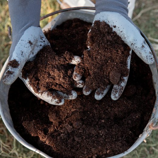 Hnojivo z droždí: vitaminová bomba pro vaše rostliny