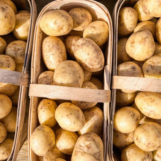 Čím hnojit brambory?