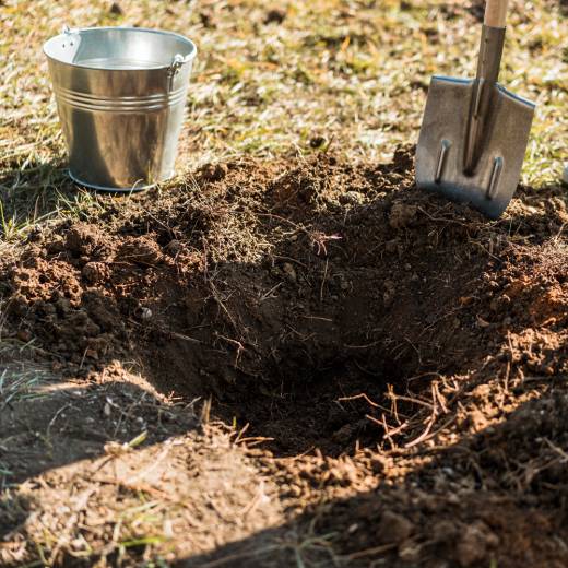 Jak daleko hrabe krtek od krtince?