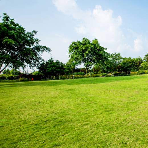 Jak na krtka? 5 účinných způsobů