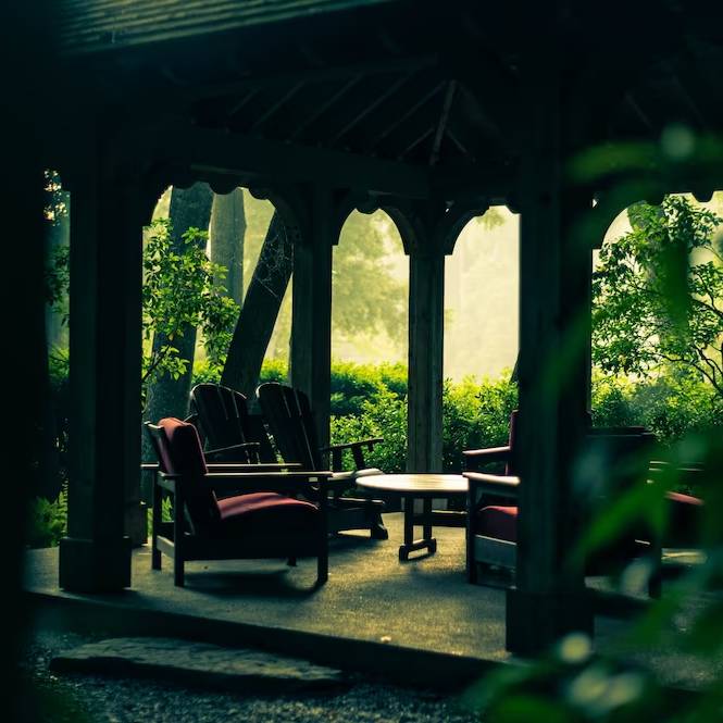 5 tip, jak se zbavit much pod pergolou