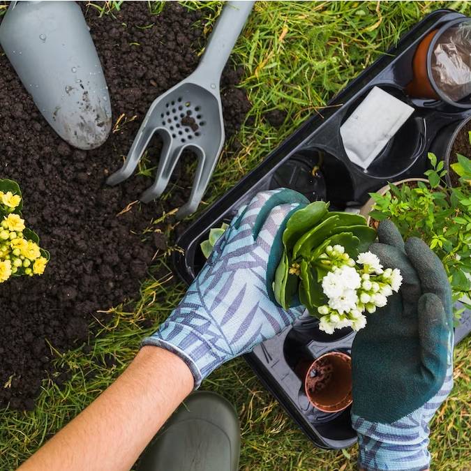 Jak si vyrobit past na ploštěnky? Návod krok za krokem