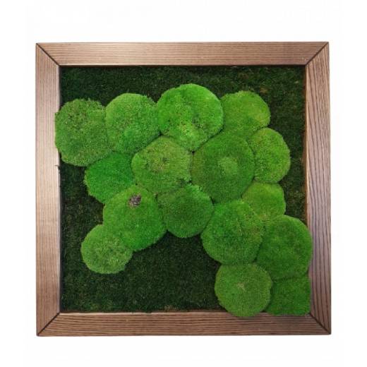 Jak doma vyrobit stabilizovaný mech?