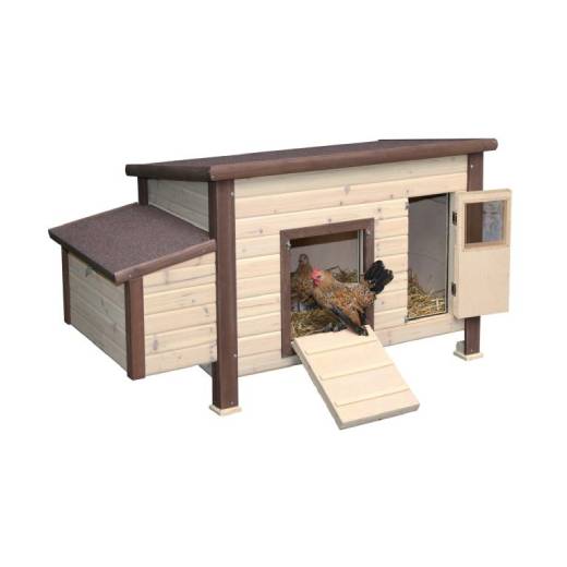 10 tipů, jak vybrat správný kurník pro slepice