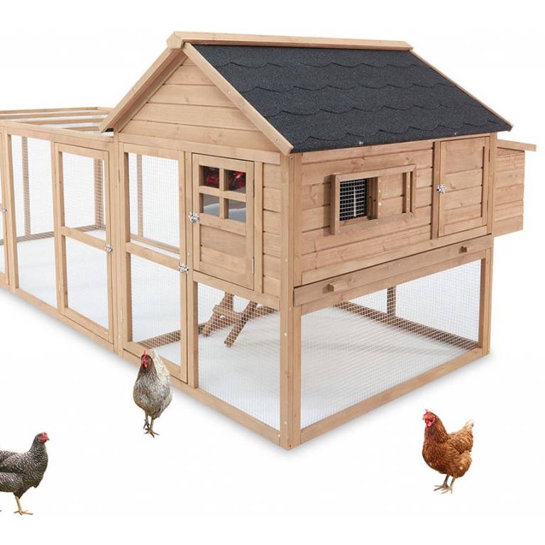 Jak vybrat nejlepší kurník pro slepice?