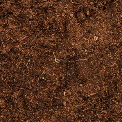 Jak vypadá krtek? Fatka a zajímavosti