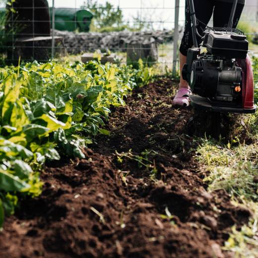 Kdy a v jakém období ryje krtek?