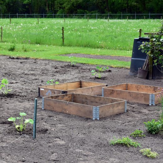 NPK hnojivo: dávkování a použití