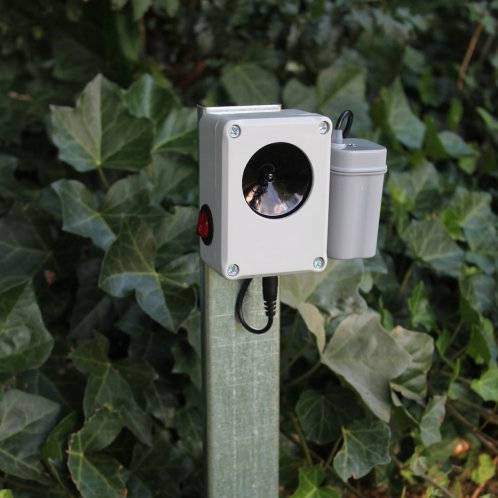 Odpuzovače zvířat: kompletní průvodce