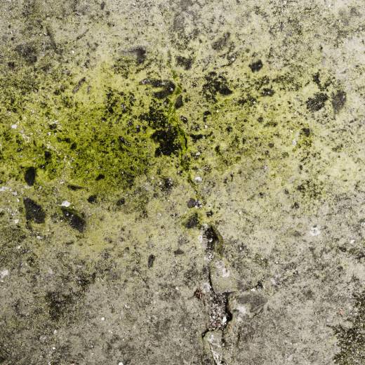 Jak se zbavit plísně na zdech?