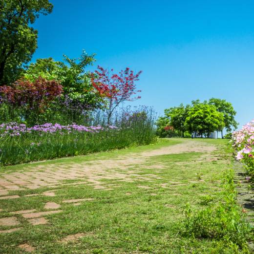 Proč dělá krtek krtince?