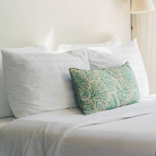 Roztoči v matraci: mýtus nebo reality?