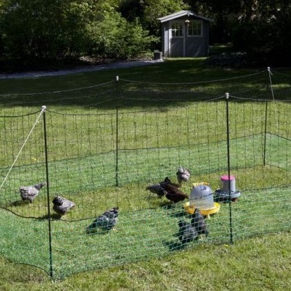 Jak vybrat síť pro drůbež?