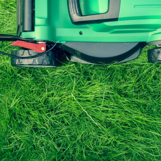 Vertikutace trávníku: Kompletní průvodce