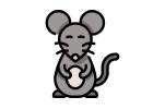 Potkani: hubení, návnady, likvidace a jak se jich zbavit?