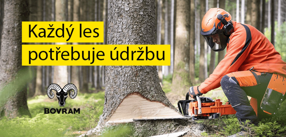 Lesnictví a těžba