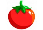 Postřiky na škůdce na rajčata