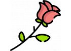 Postřiky na škůdce na růže