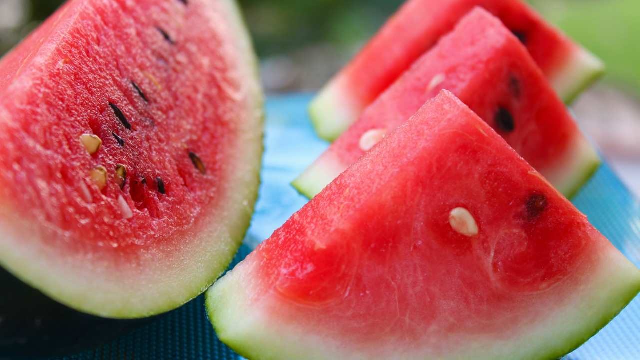 muze-kralik-meloun