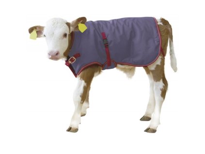 Termodeka na telata ThermoPlus, 70 cm