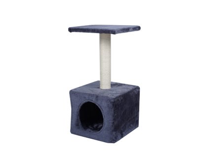 CAT2007 Dark%20Gray%20%282%29 750x750