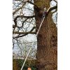 Showing the Kent Stowe Telescopic Tree Lopper in use