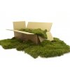 Stabilizovaný mech Long Moss Canopy | Zelený | 36x36cm