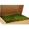 Stabilizovaný plochý mech (Flat Moss) Canopy | Zelený | 36x36cm