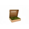 Stabilizovaný plochý mech (Flat Moss) Canopy | Zelený | 36x36cm
