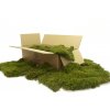 Stabilizovaný mech Long Moss Canopy | Zelený | 0,25m2