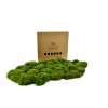 Stabilizovaný vlasový mech (Hair Moss) Canopy | Světle zelený | 0,25m2