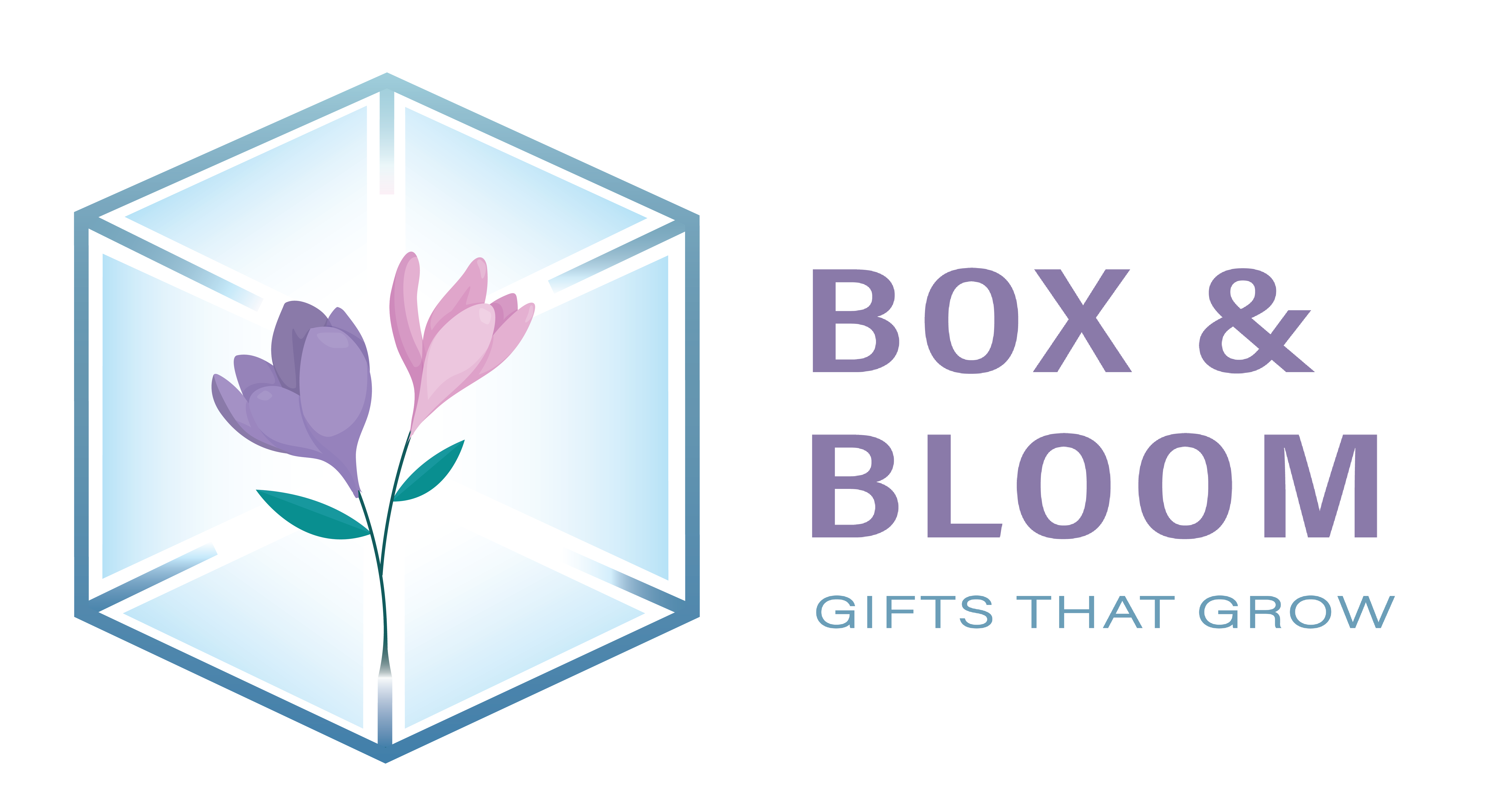 BOX&BLOOM