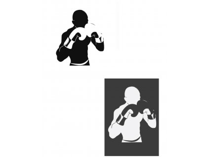 Samolepka na auto Boxer