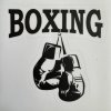 Samolepka na auto Boxing rukavice (Barva Mix barev)