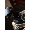 RDX Boxerské rukavice Aura Plus T17 černo-zlaté (Barva Černo-zlatá, Velikost 10 oz)