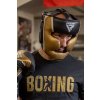 RDX Boxerská helma Aura Plus T17 černo-zlatá (Barva Černo-zlatá, Velikost XL)