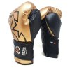 Rival RS11V Evolution - sparingové rukavice-zlaté (Velikost 16 oz)