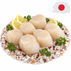 Mušle sv. Jakuba - Japonsko - 1000g