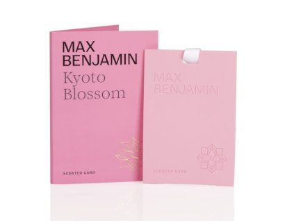 Snímka obrazovky 6 5 2026 114554 maxbenjamin.com