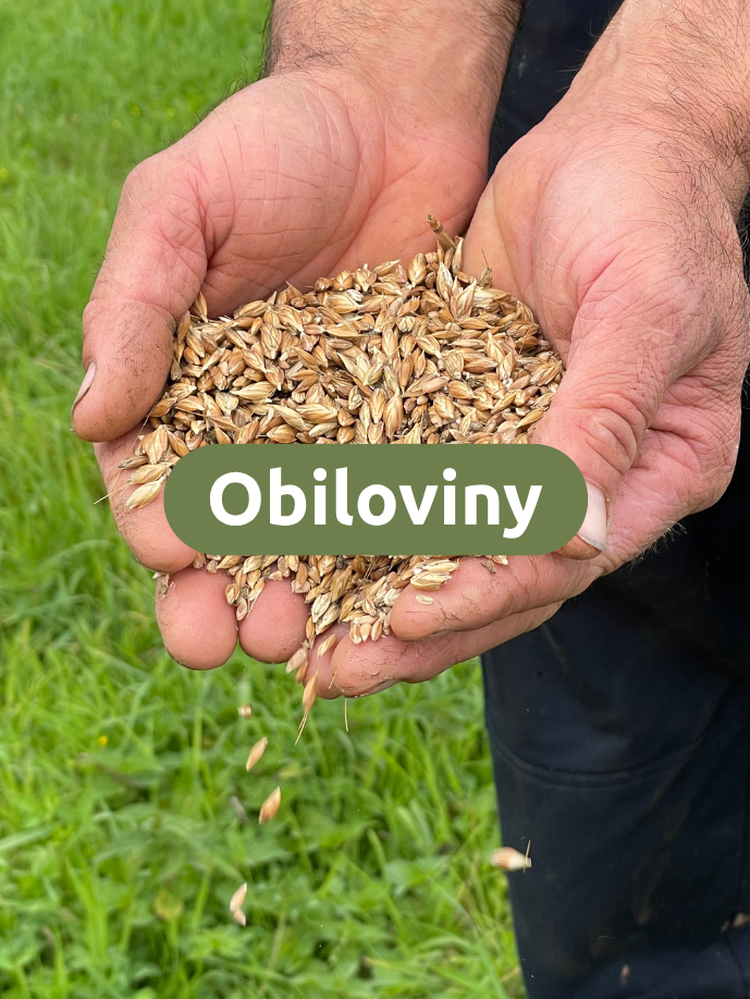 Obiloviny