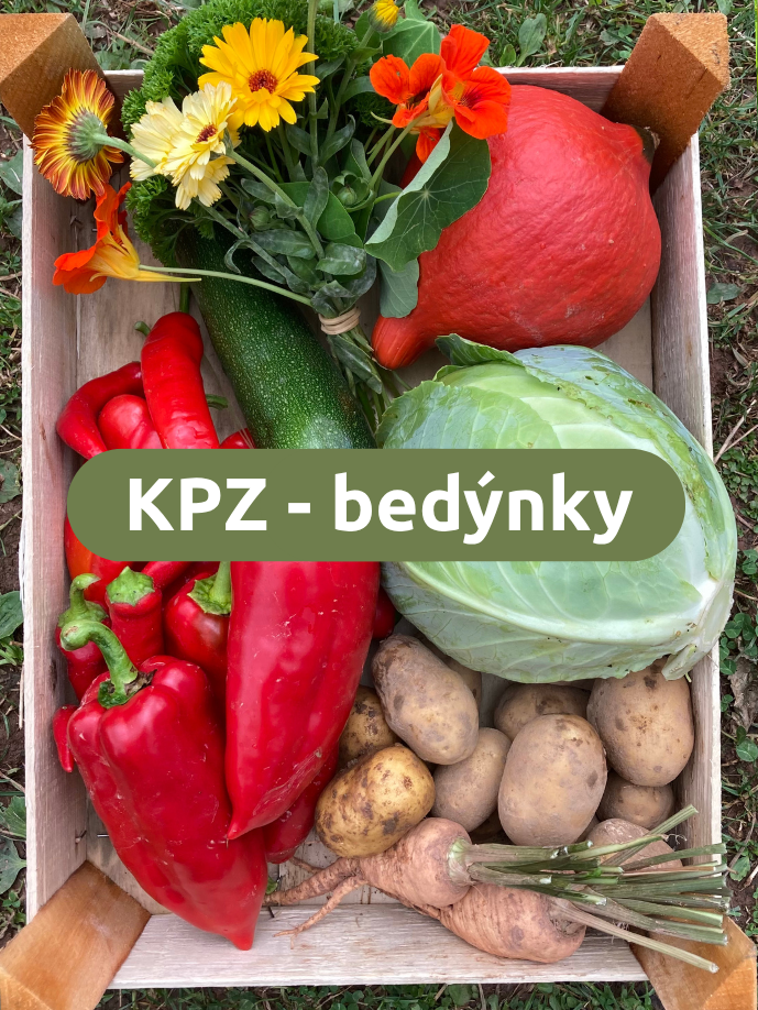 Bedýnky