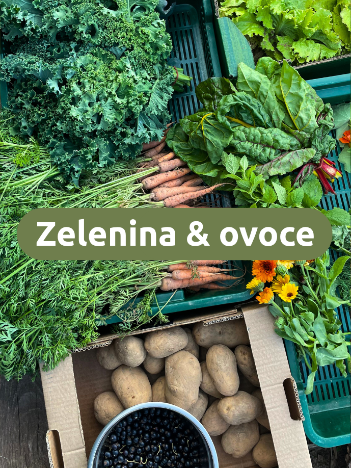 Zelenina