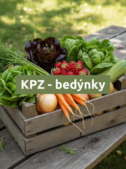 Bedýnky