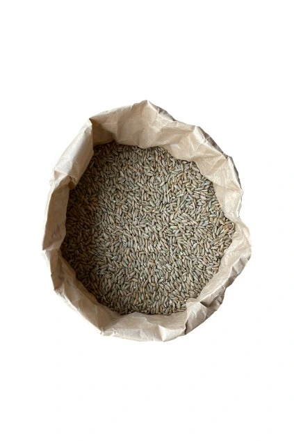 BIO pšenice setá, 1 kg