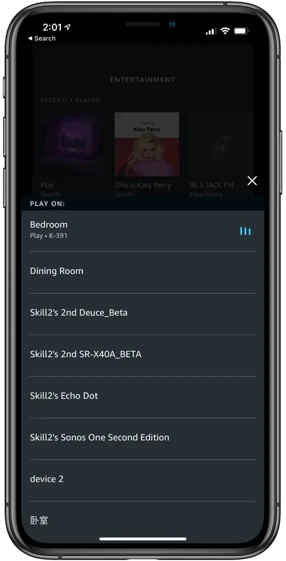 WiiM Mini