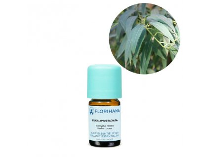 Éterický olej Eukalyptus radiata BIO 5g