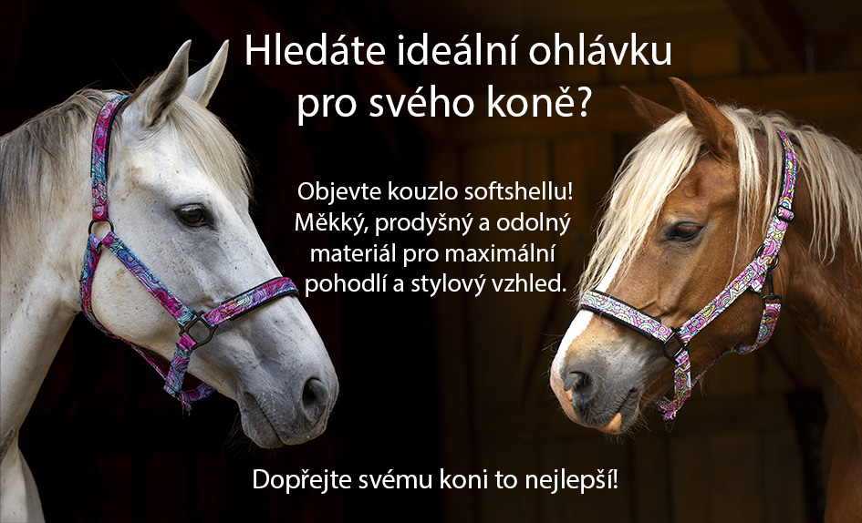 Božské ohlávky