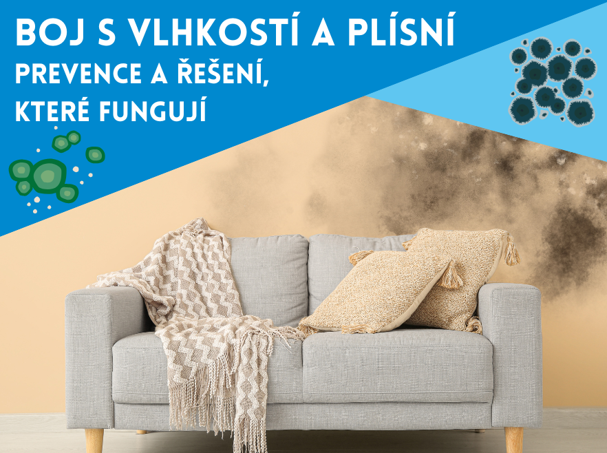 Boj s vlhkostí a plísní. Prevence a řešení, které fungují