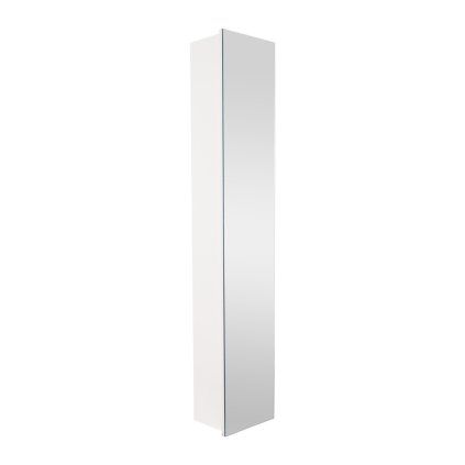stram w v25