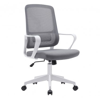 SALOMO TYP1 NEW siva hl